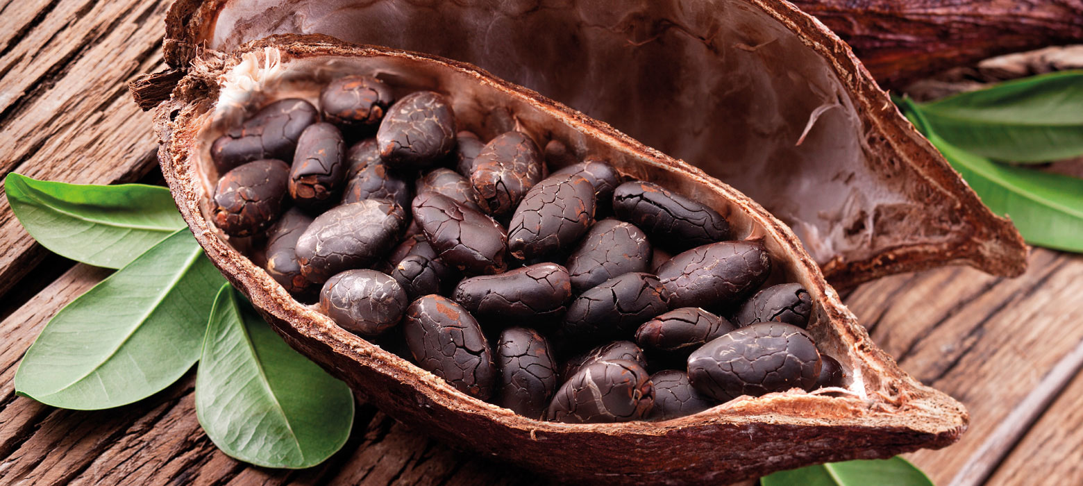 Single bean dark chocolate